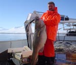 Icelandic Fisheries Portal