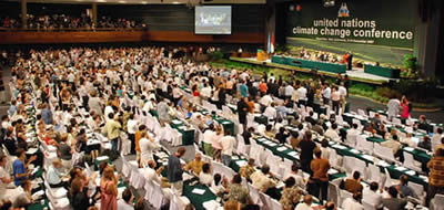 Cop 13