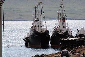 Anti whaling campaign against Iceland