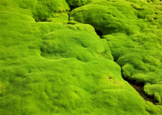 Debate goes on in Rio