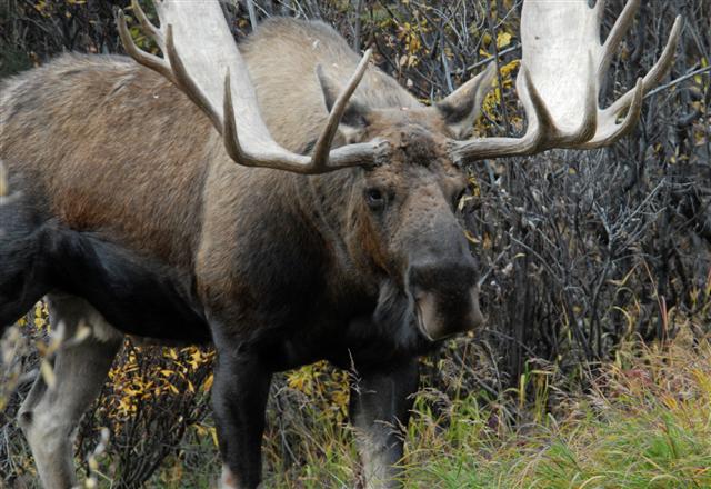 Live from Arctic Resilience workshop