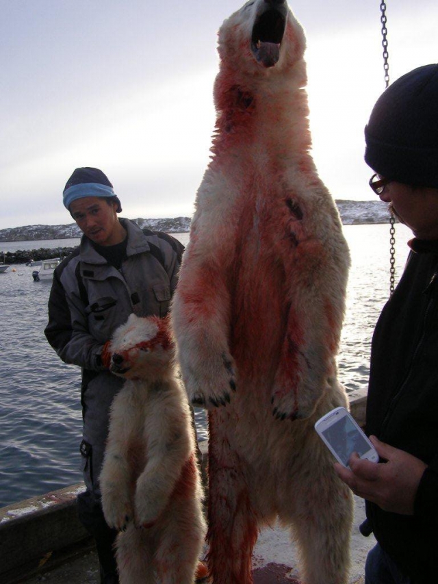 Bear and her cub came to close