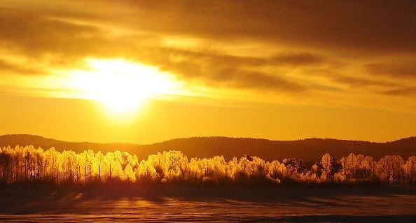 Jokkmokk Winter Conference 2013 report