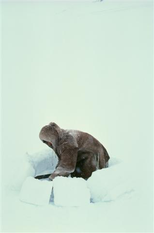 Protecting the sacred in the Arctic