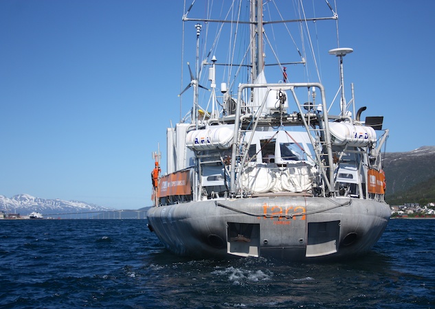 Tara Oceans Polar Circle expedition