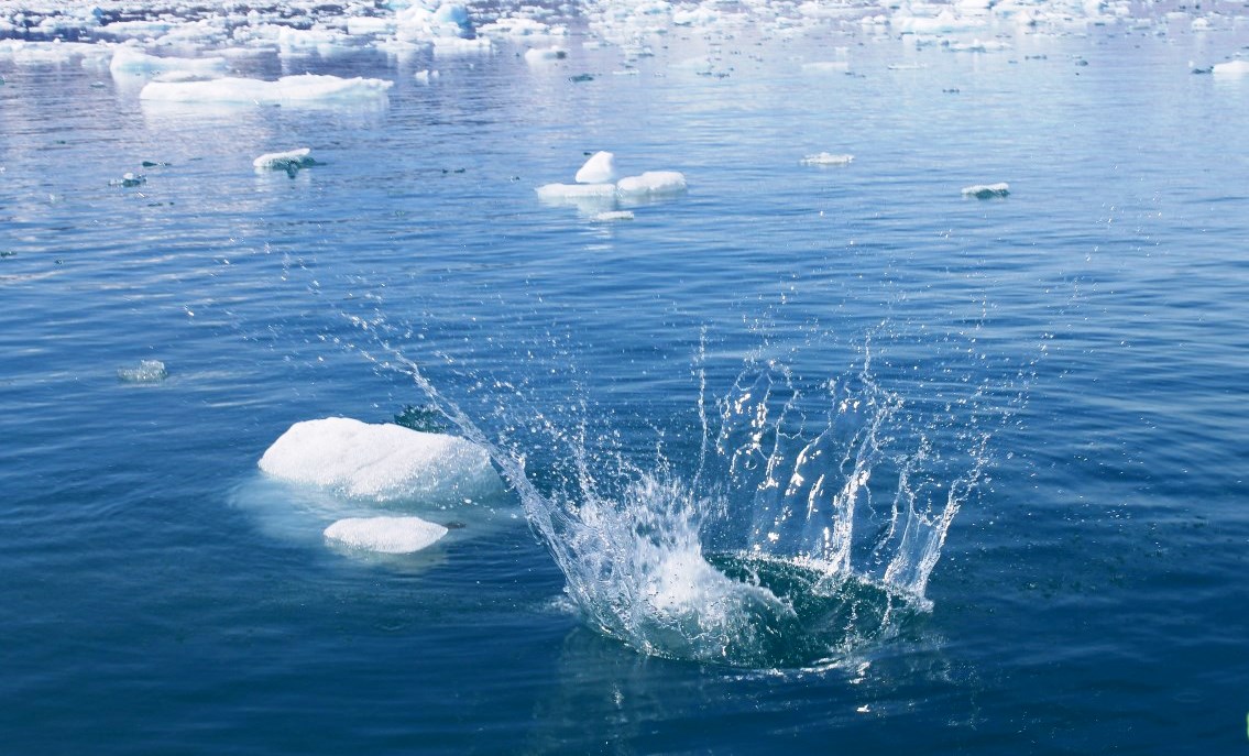 IICWG meets in Reykjavik