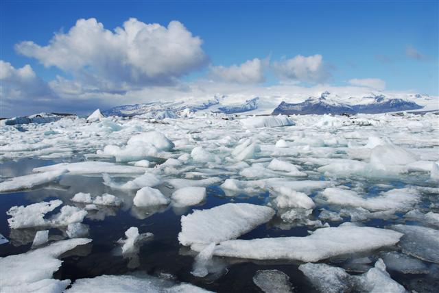 Arctic wonders discovered in Greenland